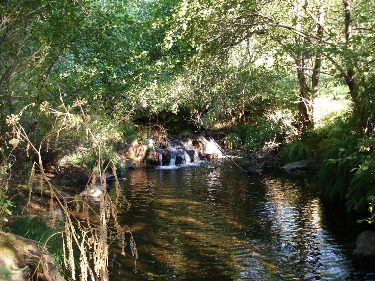 Apartamento La Sierra La Codosera Bagian luar foto